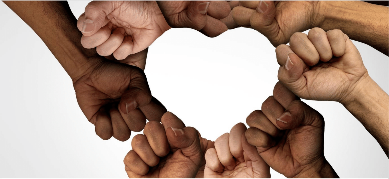 Media Monitoring Guide