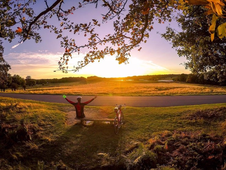 A healthy, peaceful world. 